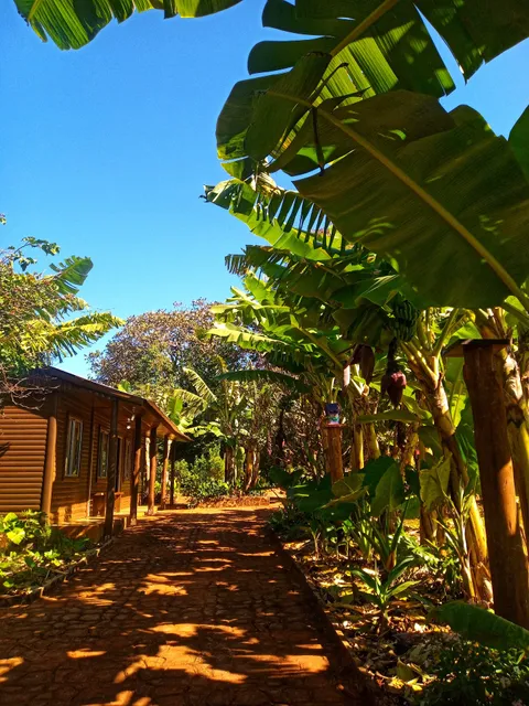 Cabañas Paraíso Iguazú