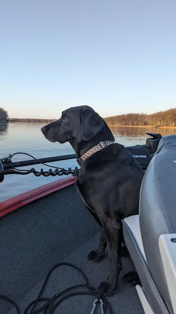 De Soto Riverview Cabins