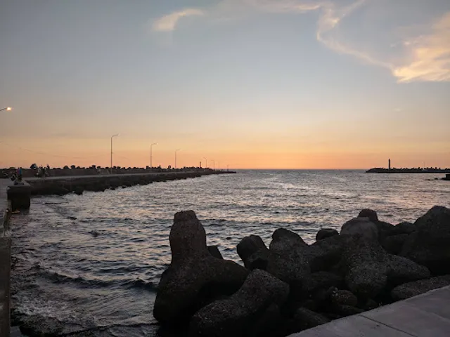 Oyster liao seaside beach