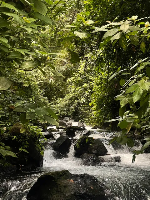 Hot Springs Pura Vida