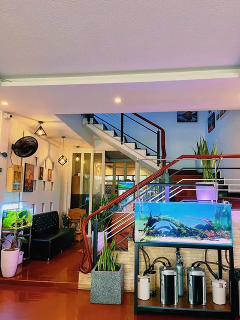 DT Hotel Hải Phòng