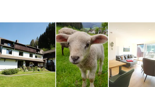 Stubenhof Simonswald - Markus Reich