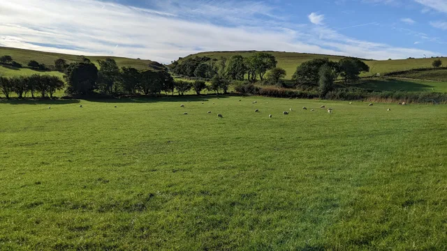 Hafan Dawel Cottages