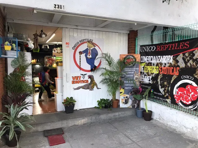 UNICO REPTILES