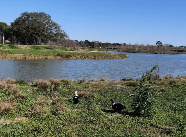 Exploration Green - Phase 1