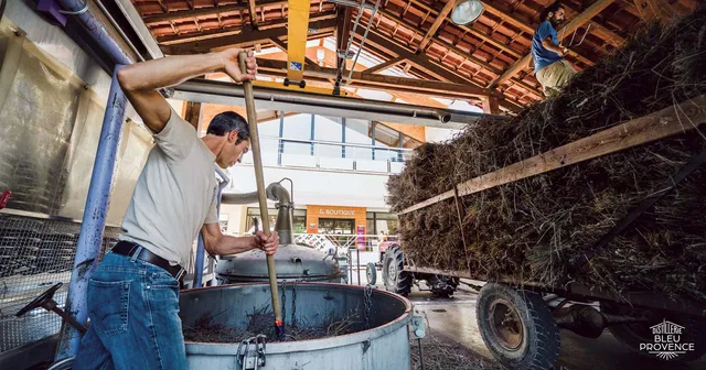 Distillerie Bleu Provence