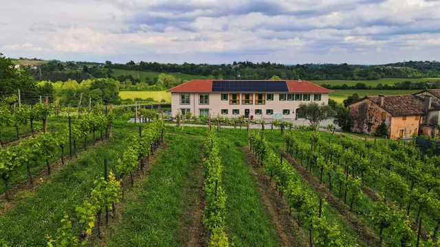 Mani Sagge - Cantina Locanda Agriturismo Wine Bar