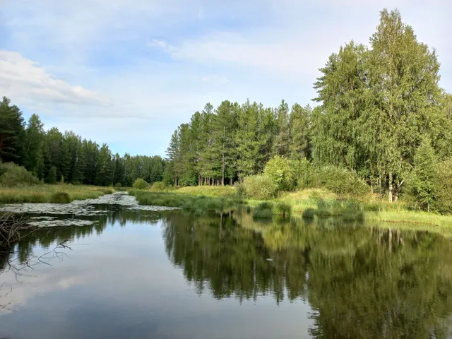 Rzhevskij Forest Park