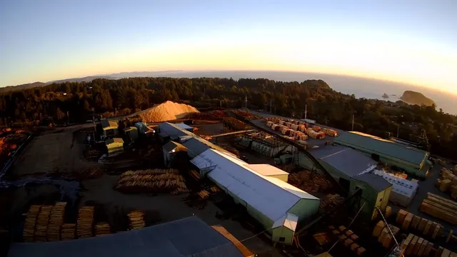 South Coast Lumber Co. & Affiliates