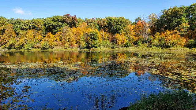 Lake Maria State Park