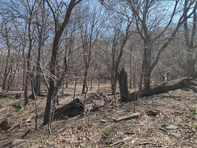 Highbridge Park Mountain Bike Trailhead