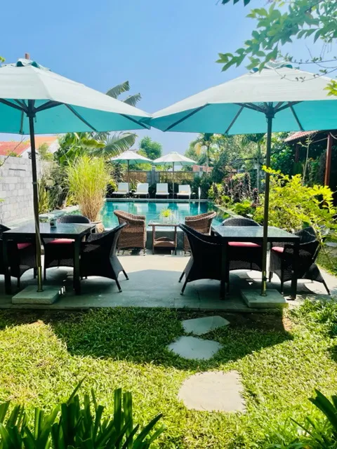 Hoi An Cabbage Garden