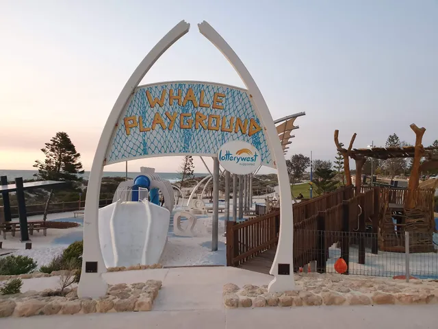 Whale Playground