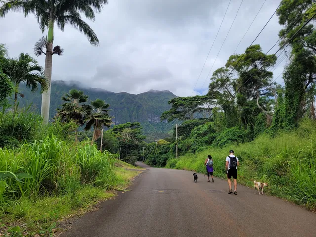Maunawili Ditch Trailhead