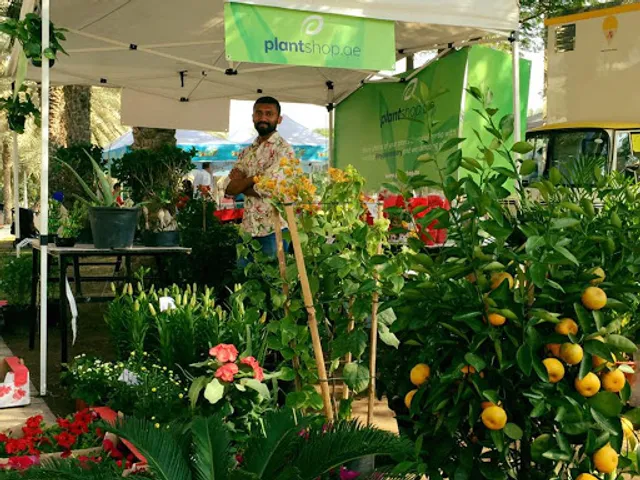 Plantshop.me - UAE's Largest Online Plant Store