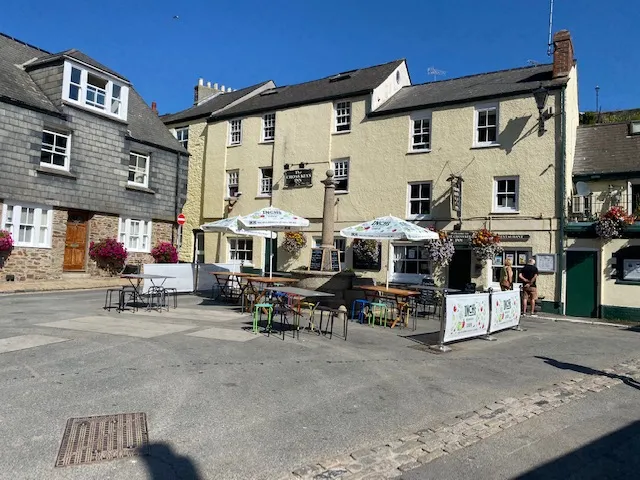 Blue Monkey Cornwall