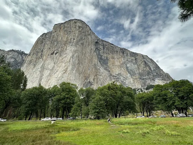El Capitan Meadow