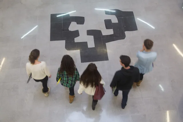 University of the Basque Country