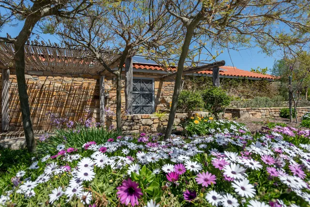 Ataraxia at Saravari Beach