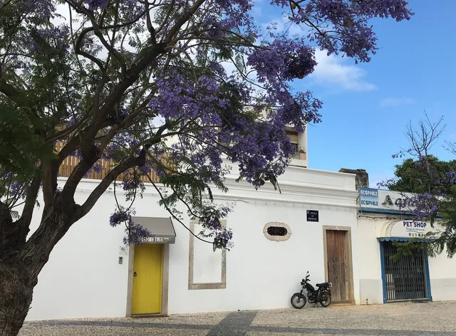 Lemon Tree Apartments