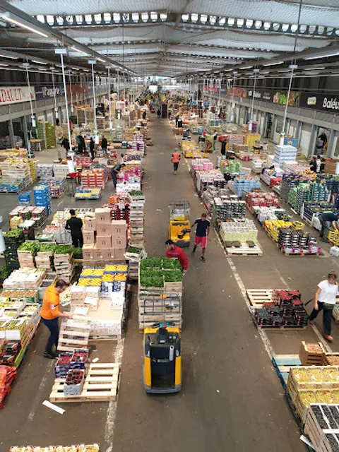Marché International de Rungis - Grossiste