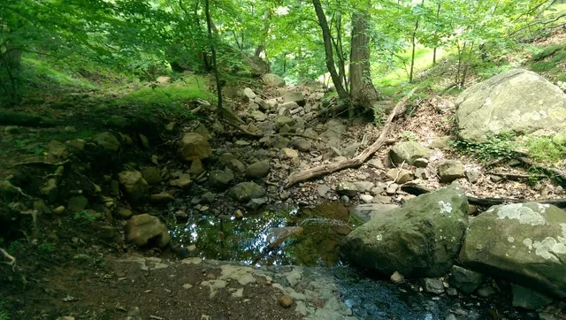 Maple Falls Cascades