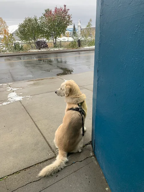 Arctic Tech Solutions