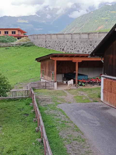 Gesundheitsbauernhof - Sagenschneider´s