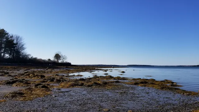 Curtis Farm Preserve