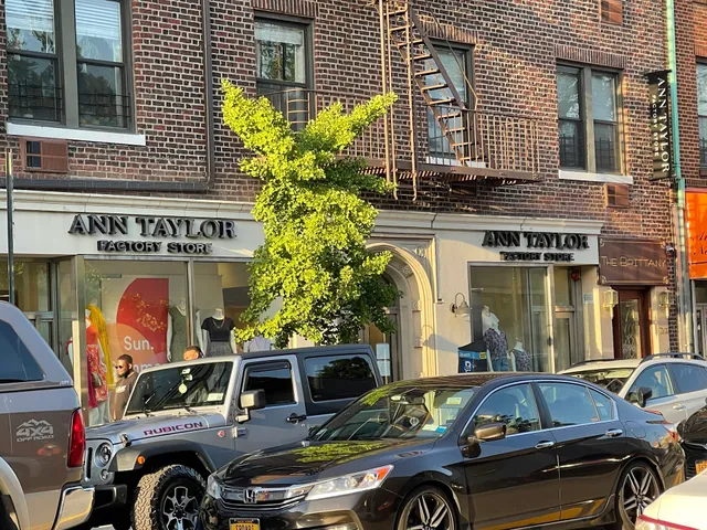 Ann Taylor Factory Store