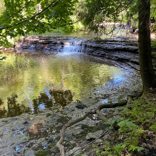 Baird Creek Dirt Trail