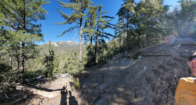 Ernie Maxwell Scenic Trail Southern Terminus