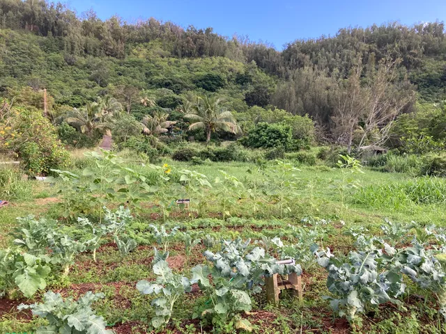 Waihuena Farm