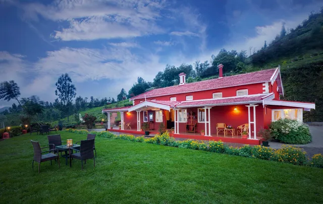 Teanest Nightingale Kotagiri