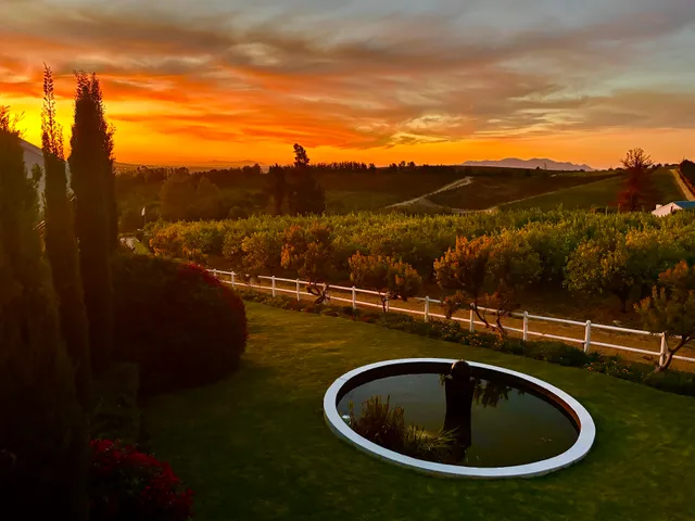 Marianne Wine Estate