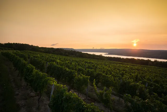 Dr. Konstantin Frank Winery