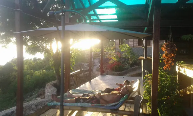 Jungle of Peace Accommodation and Island Adventure Tours