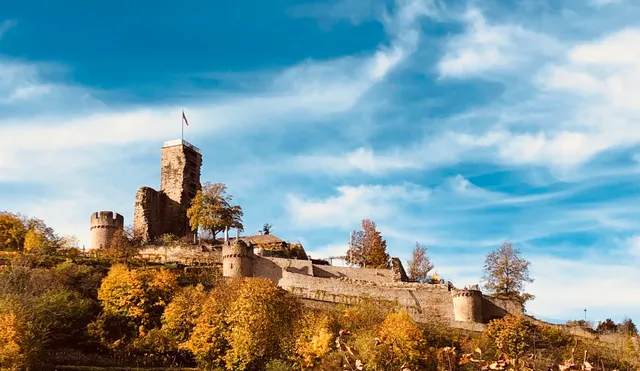 Weingut Peter - Weingut & Gästehaus