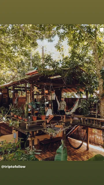 Casa Da Árvore Alter, Sonho Na Amazônia