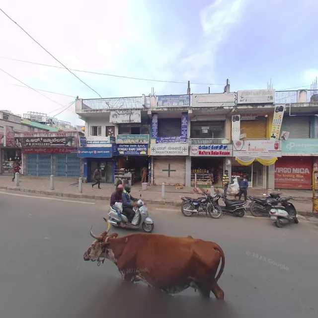 Brundhavana Pure Veg