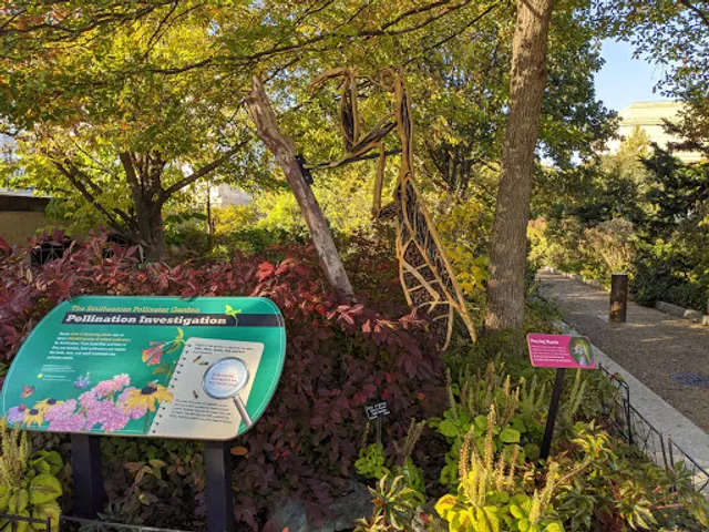 Smithsonian Pollinator Garden