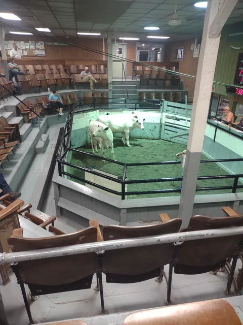 Greencastle Livestock Market