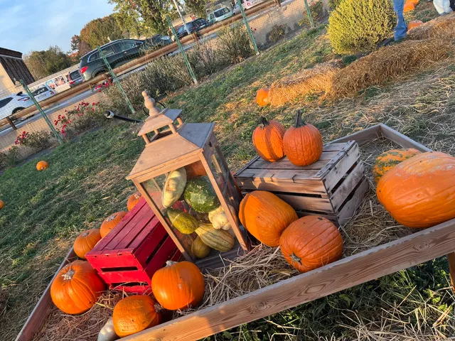 Agricola delle Meraviglie by Steflor