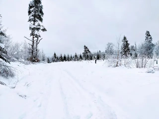 Ski de fond St-Setiers Plateau de Millevaches Association Le Foyer des Bruyères
