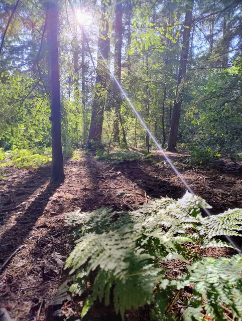 "Coöperatie "Chaletpark de Konijnenburg" UA"