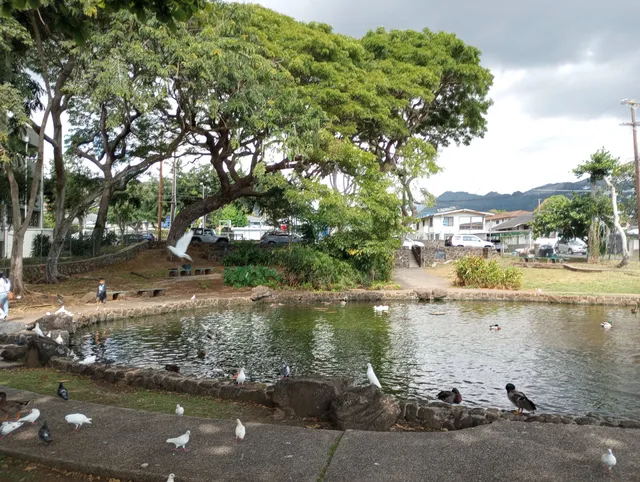 Kunawai Springs Urban Park
