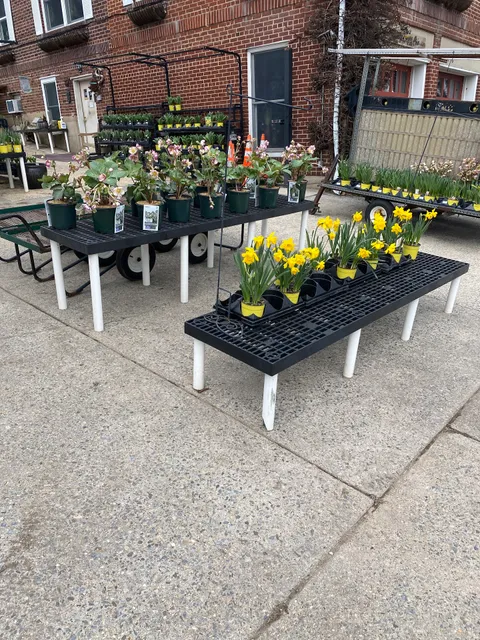 Conrad Schweizer Nurseries