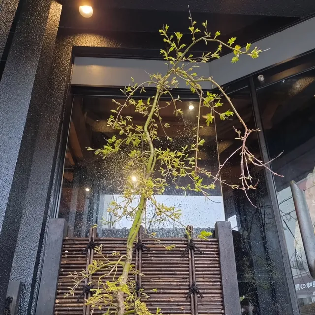 鮪のわらやき屋