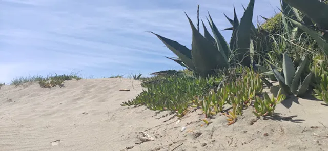 Spiaggia Libera Capocotta - Chiosco 6 Mecs Village