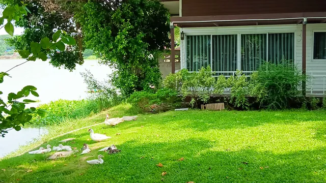 ริมน้ำบ้านเพื่อนโฮมสเตย์